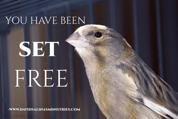 You Have Been Set Free